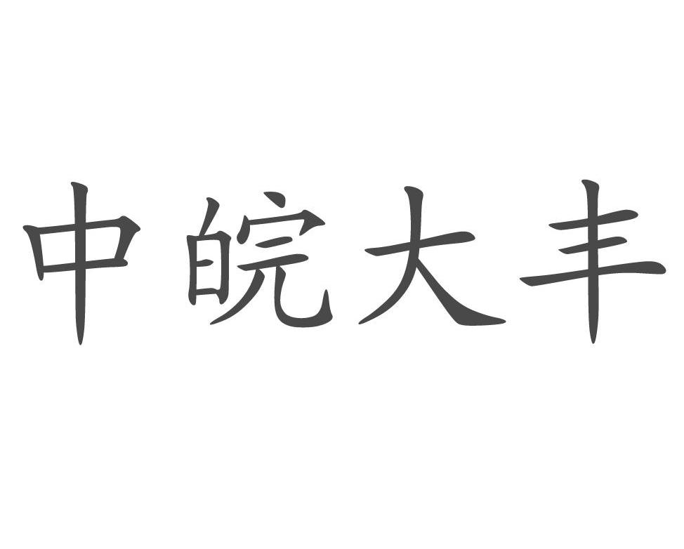 中皖大丰