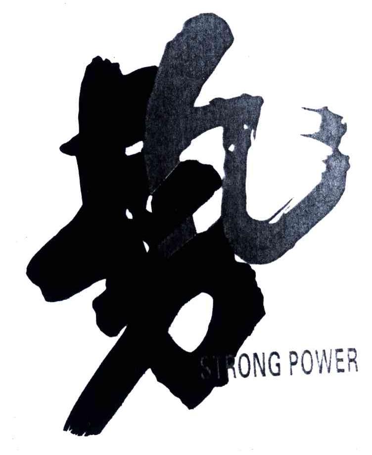 势;STRONG POWER