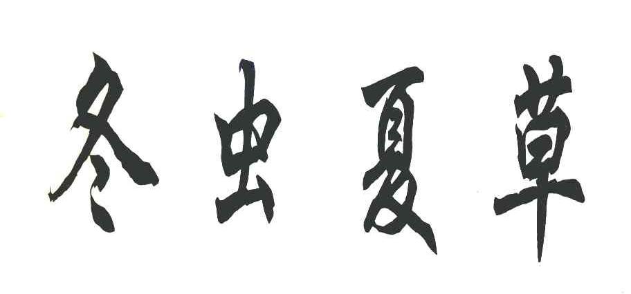 冬虫夏草