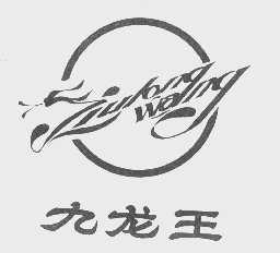 九龙王
