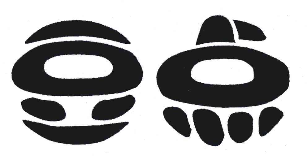 豆点