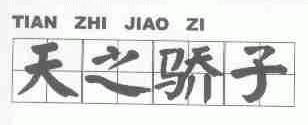 天之骄子