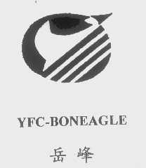 岳峰   YFC-BONEAGLE
