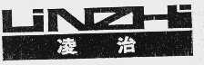 凌治  LIN ZHI
