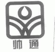 帅通