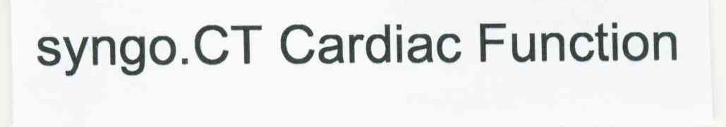 SYNGO.CT CARDIAC FUNCTION