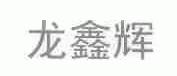 龙鑫辉
