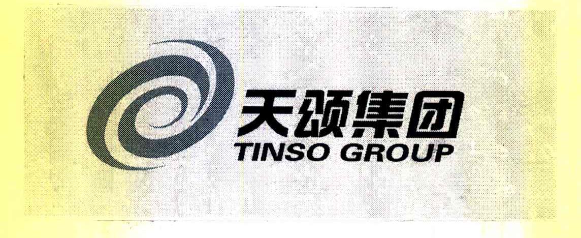 天颂集团 TINSO GROUP