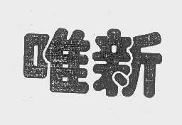 唯新