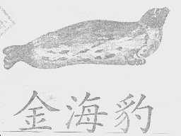 金海豹