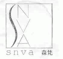 森梵;SNVA;NVA
