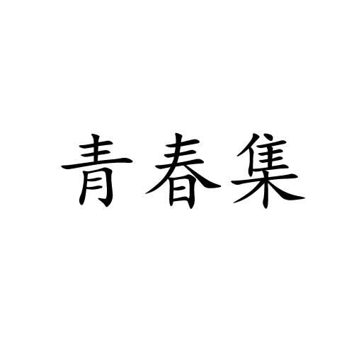 青春集
