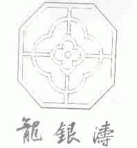 龙银涛