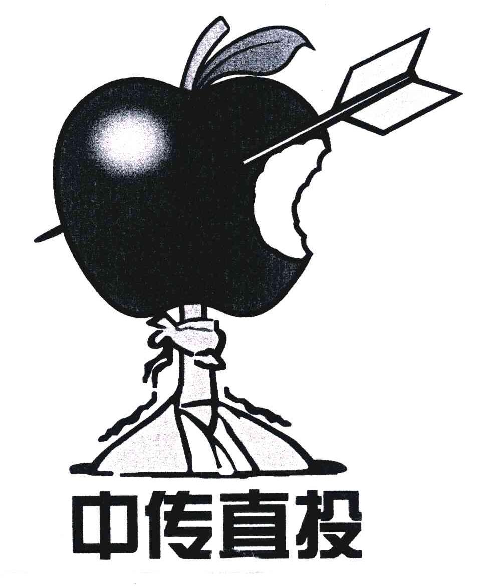 中传直投