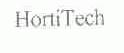 HORTI
