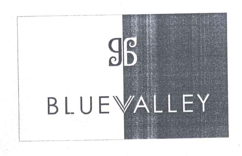 BLUEVALLEY
