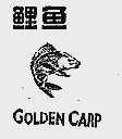 鲤鱼;GOLDEN CARP
