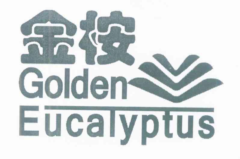 金桉 GOLDEN EUCALYPTUS