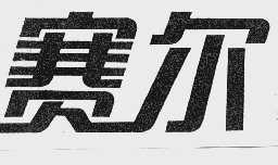 赛尔