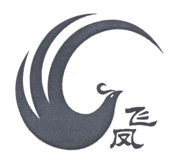 飞凤
