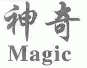 神奇;MAGIC