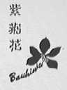 紫荆花