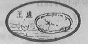 王莲