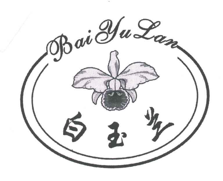 白玉兰