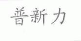 普新力