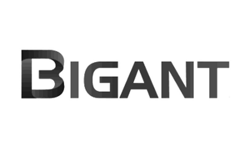 BIGANT