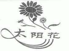 太阳花