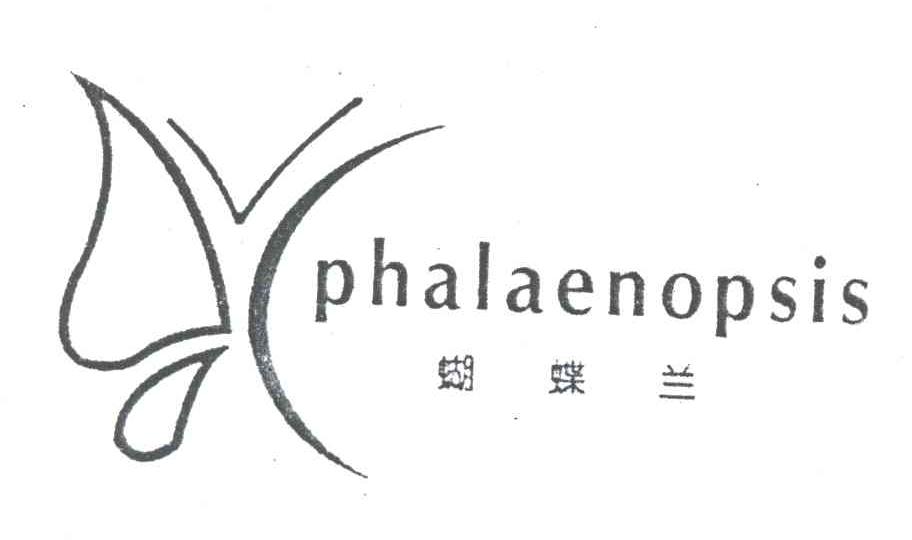 蝴蝶兰;PHALAENOPSIS及图形