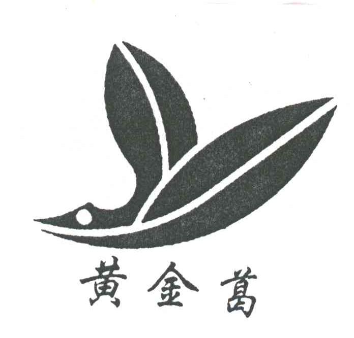 黄金葛