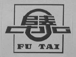 阜泰