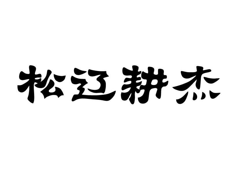 松辽耕杰