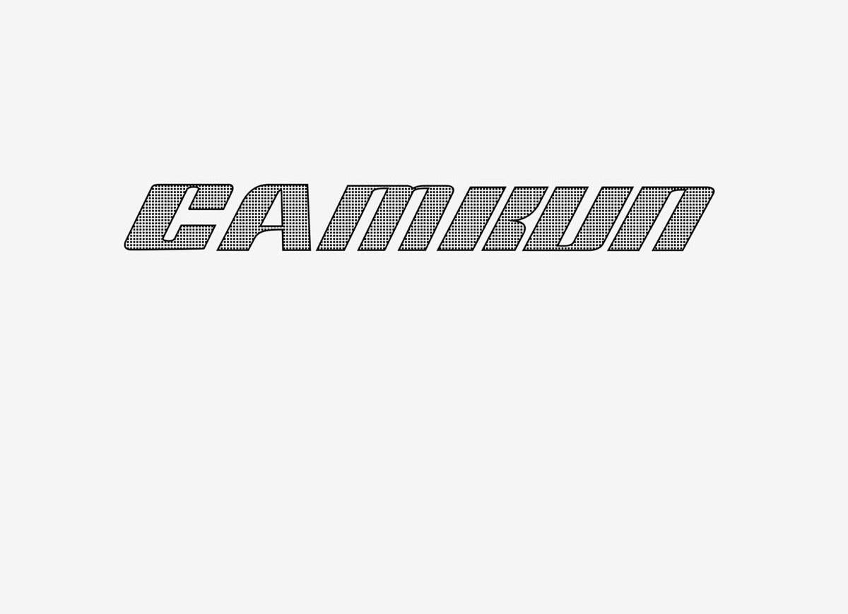 CAMRUN
