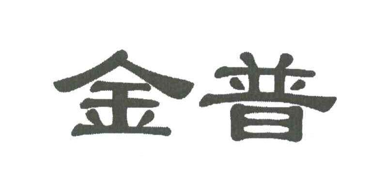 金普