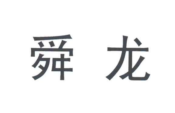 舜龙