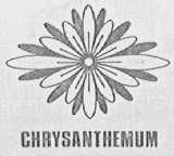 CHRYSANTHEMUM