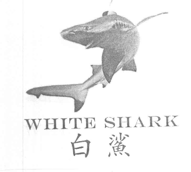 白鲨 WHITE SHARK