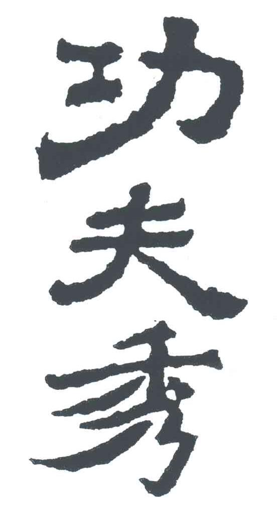 功夫秀;