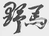 野马
