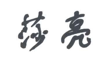 莎亮