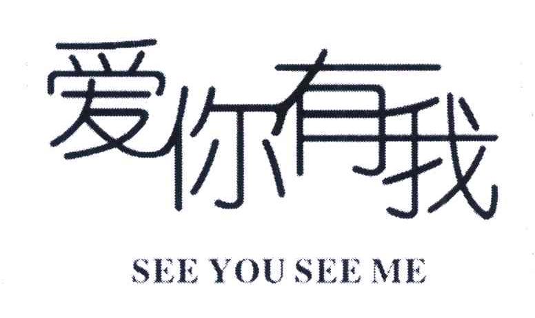 爱你有我 SEE YOU SEE ME
