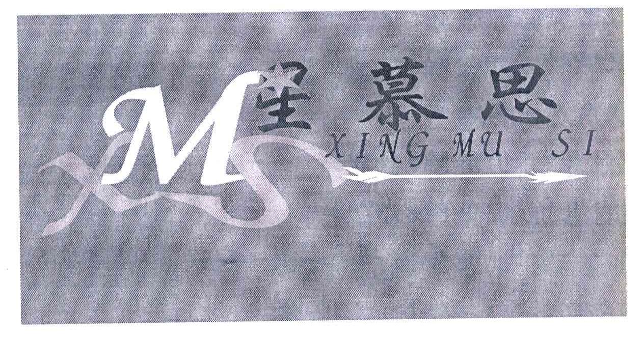 星慕思 XMS