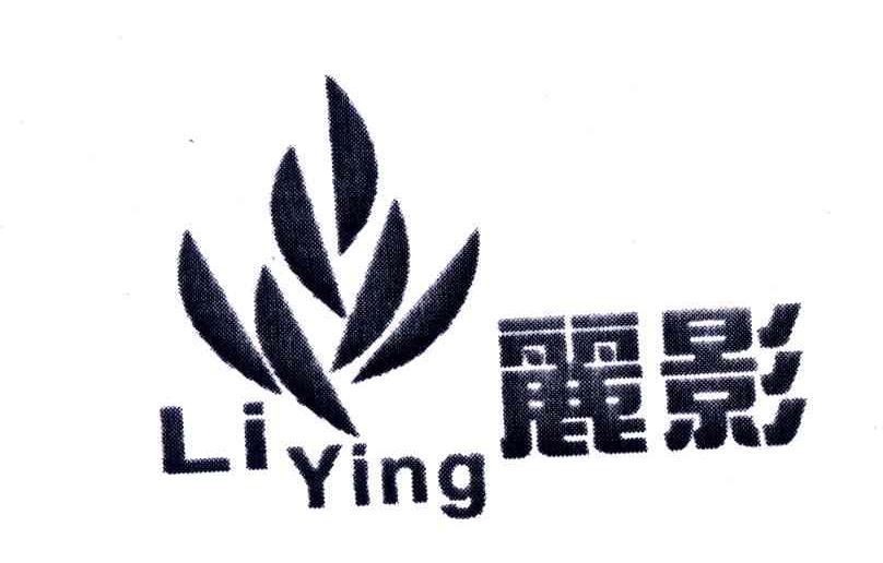丽影