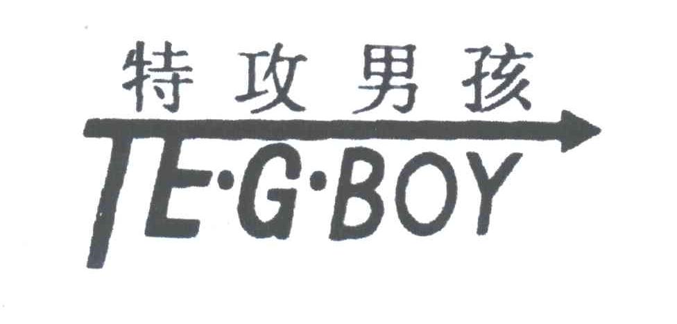 特攻男孩;TEGBOY