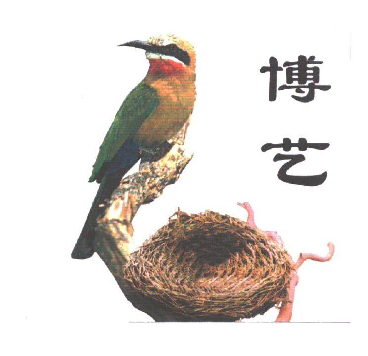 博艺