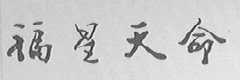 福星天命
