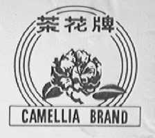 茶花    CAMELLIA